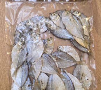 SAPSAP DRIED FISH JP