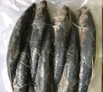 CENTURY ROUND SCUD GALUNGGONG GUTTED FISH 500G